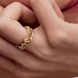 Q224_D_PDP_Model_Single_76_1x1_RGB_ring